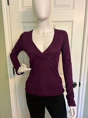 The Limited Plum V-Neck Long Sleeve Knit